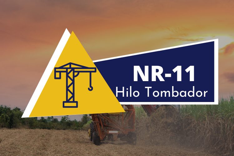NR 11- Hilo Tombador – Teórico
